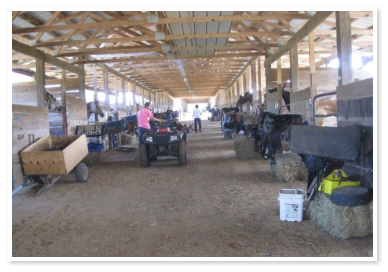 stables at True West