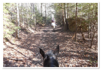 riding trail at True West