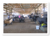 stables at True West