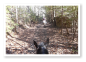 riding trail at True West