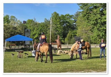 people meeting before a ride
