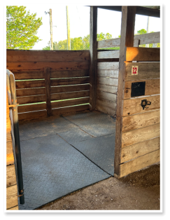 horse stall for our guests to use