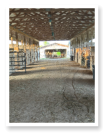horse stalls